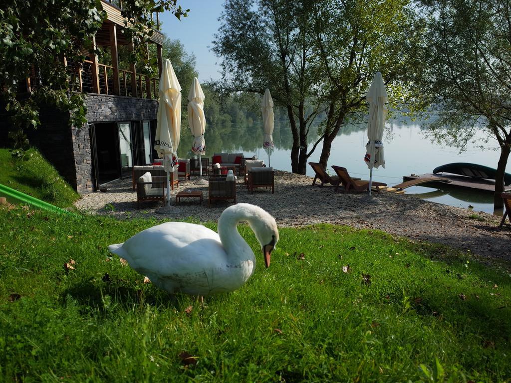 Zagreb Camp Bungalows Rakitje Bagian luar foto